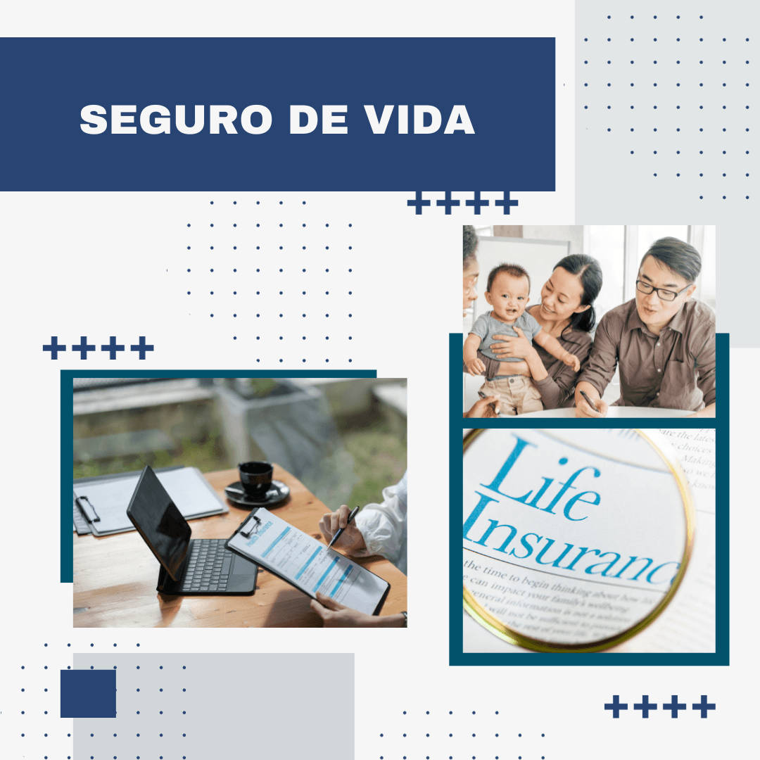 SEGUROS DE VIDA