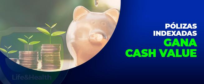 CONOCE LOS BENEFICIOS DE UNA IUL