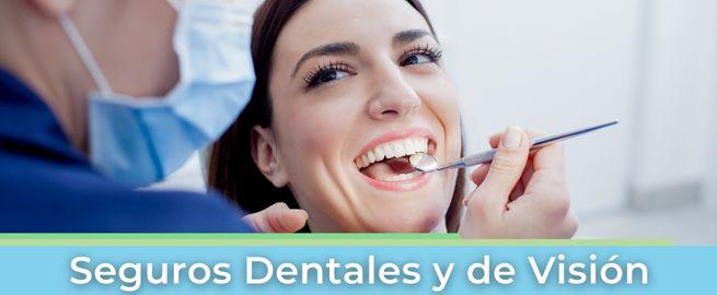 Seguros Dentales y de Visión 