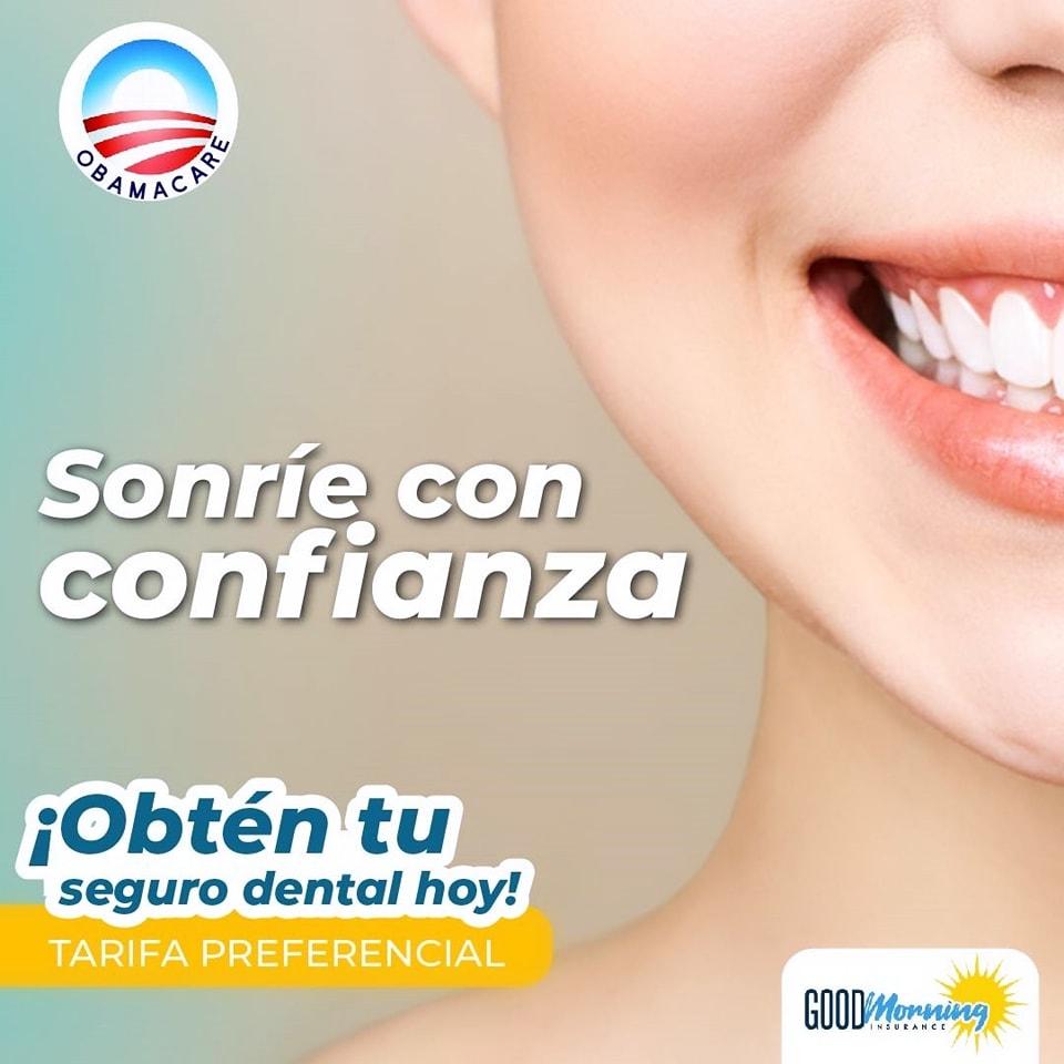 Planes Dentales y Vision