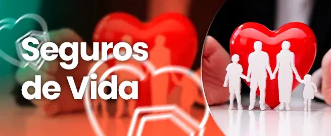 Seguros de Vida