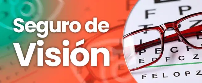 Seguros de Visión