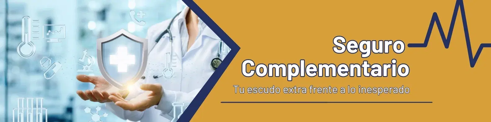 Polizas Complementarias