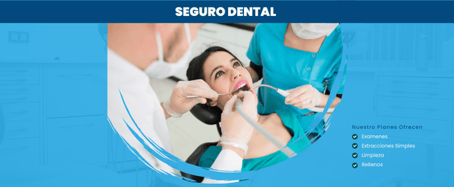SEGUROS DENTALES