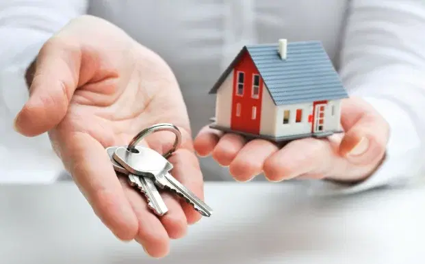 Real Estate