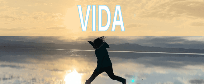 Seguros de Vida