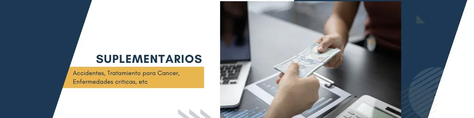 Seguros Complementarios